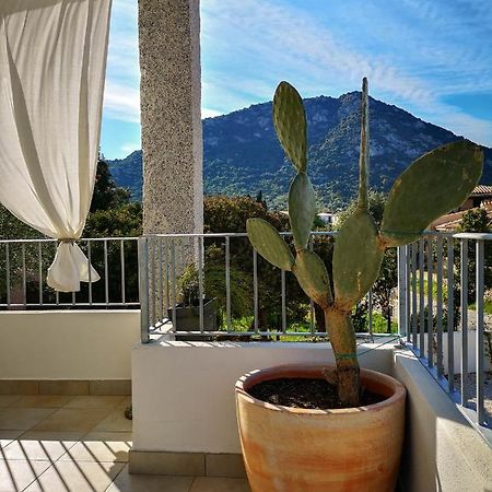 B&B Limone ซาน เตโอโดโร ภายนอก รูปภาพ